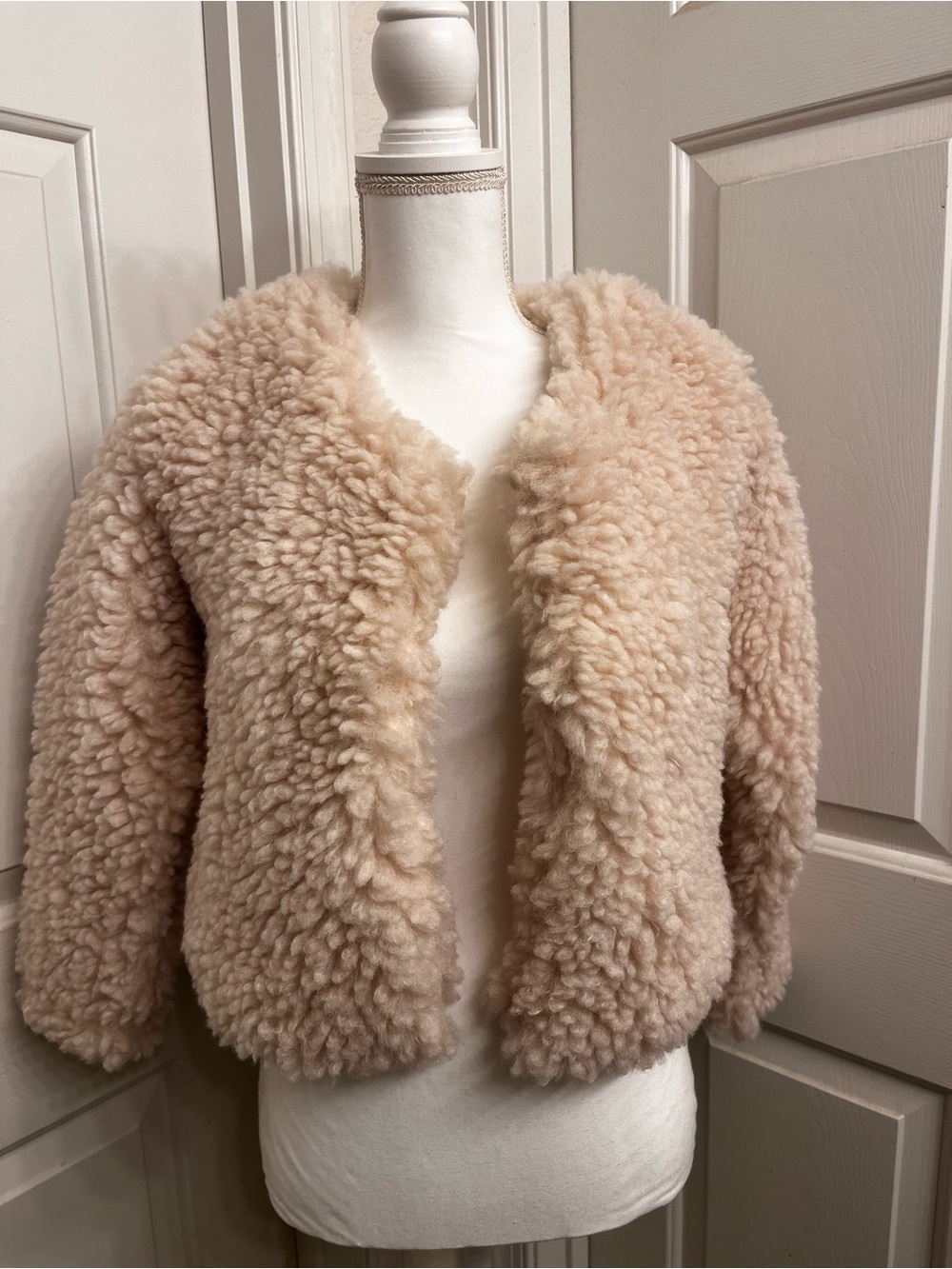 Sadie & Sage Plush Teddy Jacket in Light Taupe